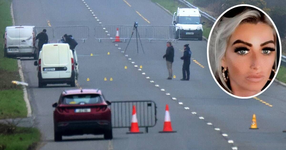 Gardaí want to question number of men and women over Tipperary assault on Limerick mother