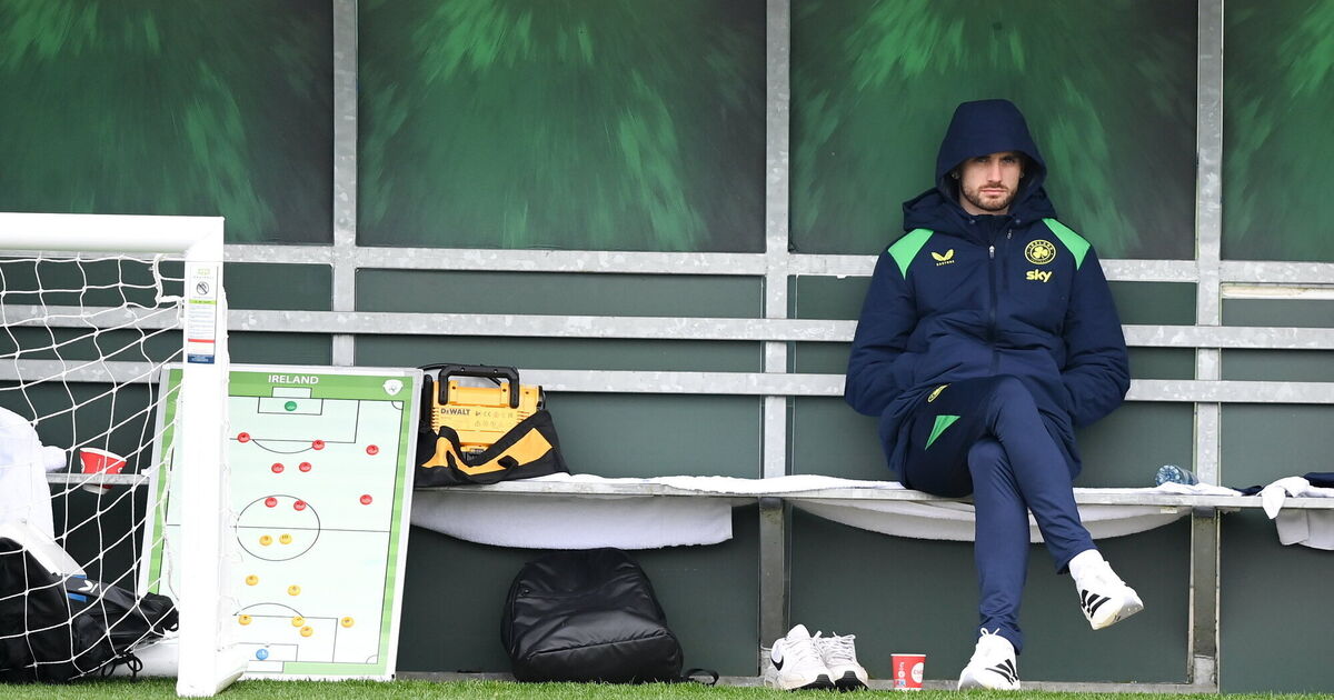 Troy Parrott 'reaping the rewards of the practice and dedication'