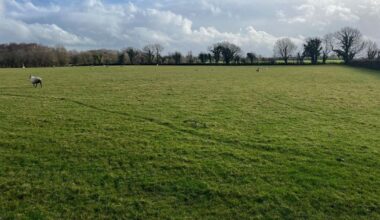 47a farm near Lough Derg guiding €15-€17k/acre