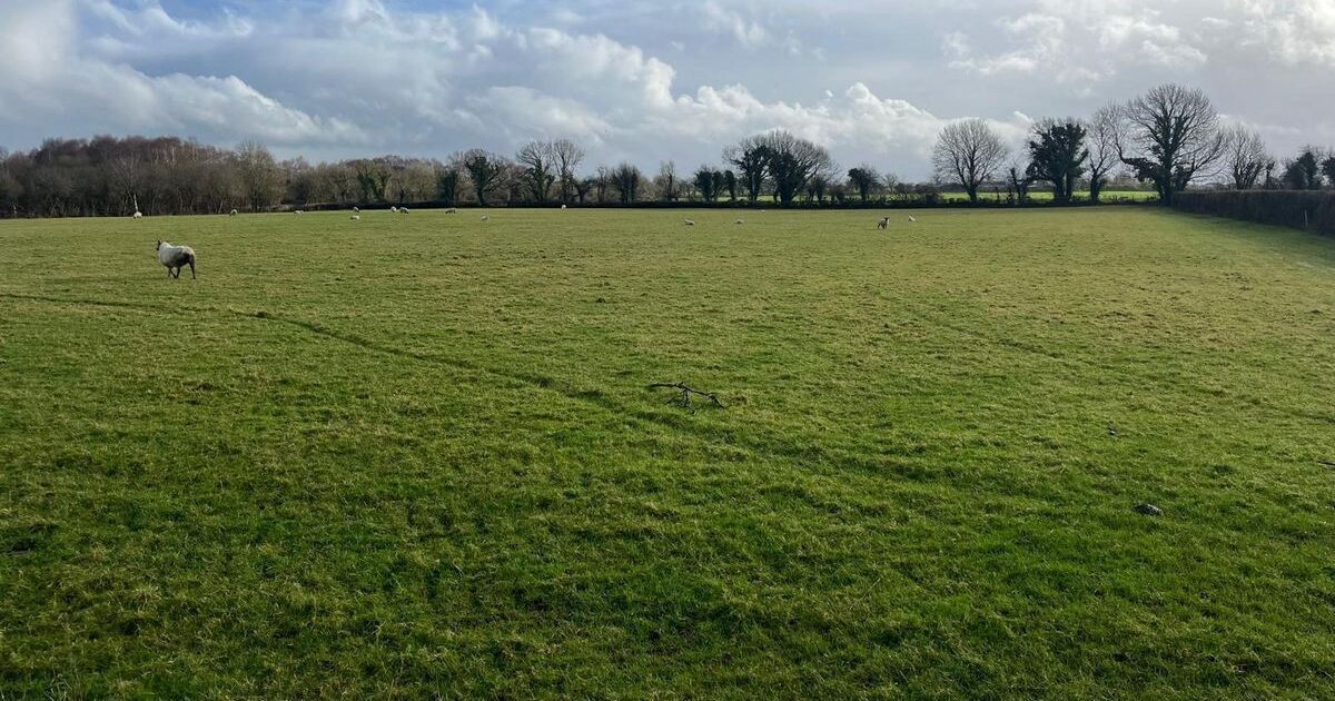 47a farm near Lough Derg guiding €15-€17k/acre