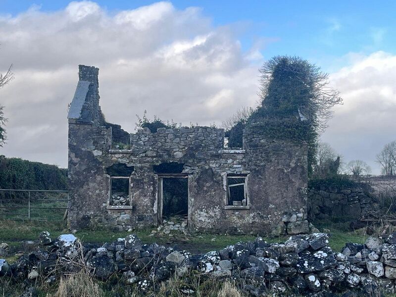 The derelict house on the farm may qualify for a Government grant.