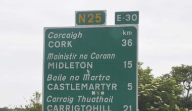‘Perfect storm’ predicted for commuters with key East Cork road set to be 'overwhelmed' by traffic