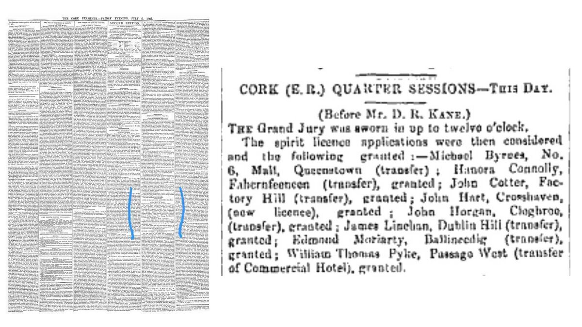 The Cork Examiner Friday Evening edition July 6, 1866 — spirit licences considered and granted to applicants with an address at 6 The Mall, Queenstown