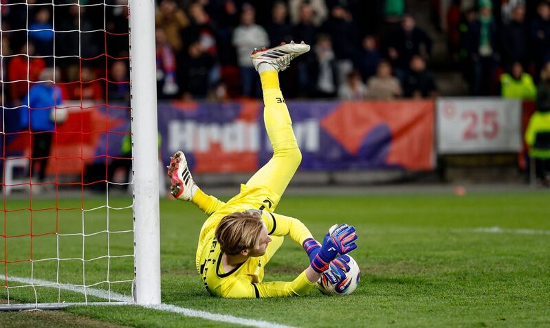 Picture: Pavel Lebeda/Sportsfile