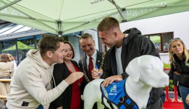 Decorate a dog sculpture for Cork ‘City of Tails’ event