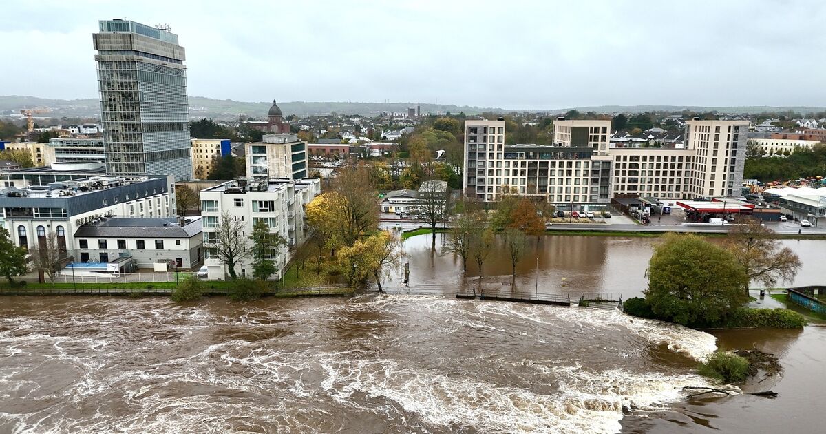 Cork man prosecuted after 'stroke-hauling' for salmon