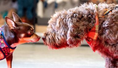 Cork business expands as retailer opens new store in Mallow