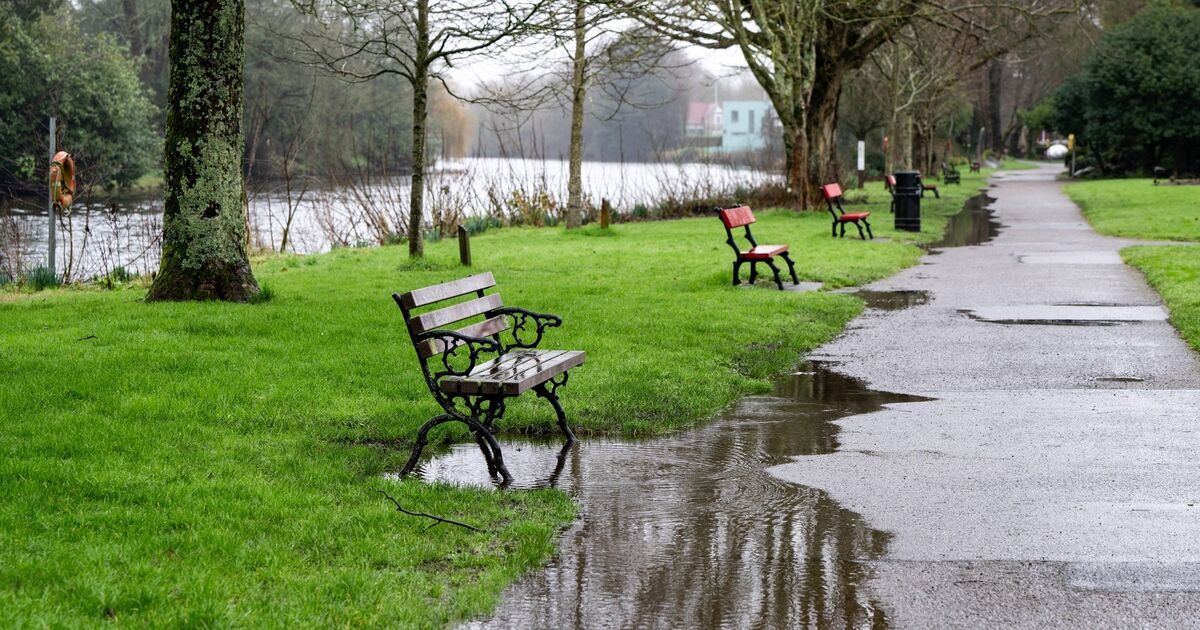Wet and windy weather in store for long weekend