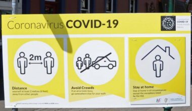 Ireland must work 'seriously' to implement public health reforms, covid group concludes 