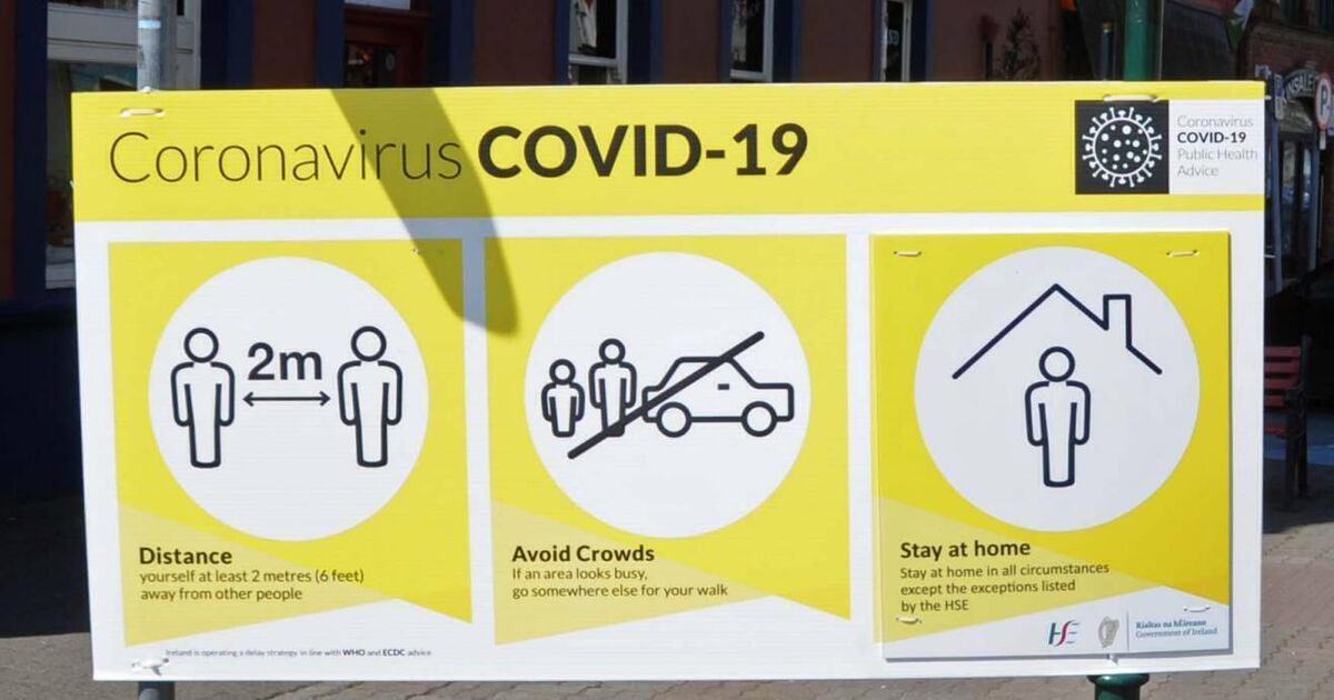 Ireland must work 'seriously' to implement public health reforms, covid group concludes 