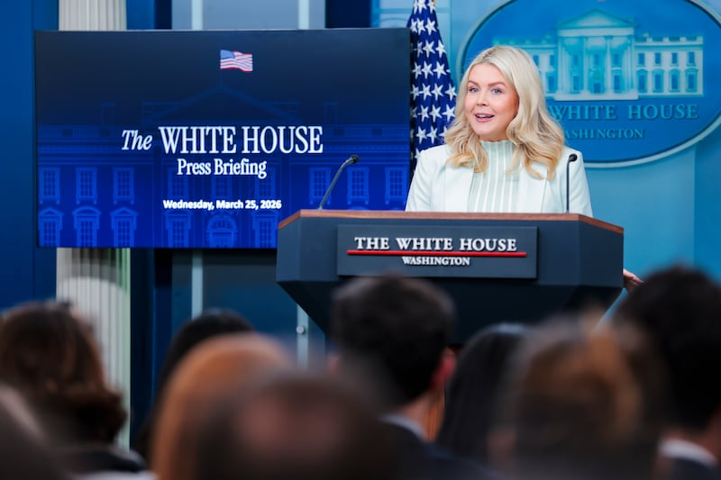 White House press secretary Karoline Leavitt takes questions during a news briefing in the White House. Photograph: Heather Diehl/Getty Images