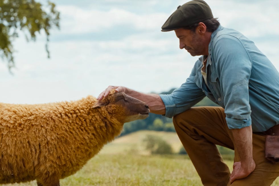 hugh jackman, the sheep detectives