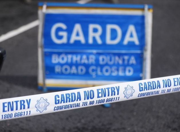 Horse dies in Tipperary crash prompting call to ban sulkies on public roads