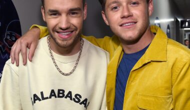 Niall Horan Song Lyrics Inspired by Liam Payne Death