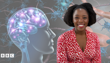 BBC Morning Live Logo