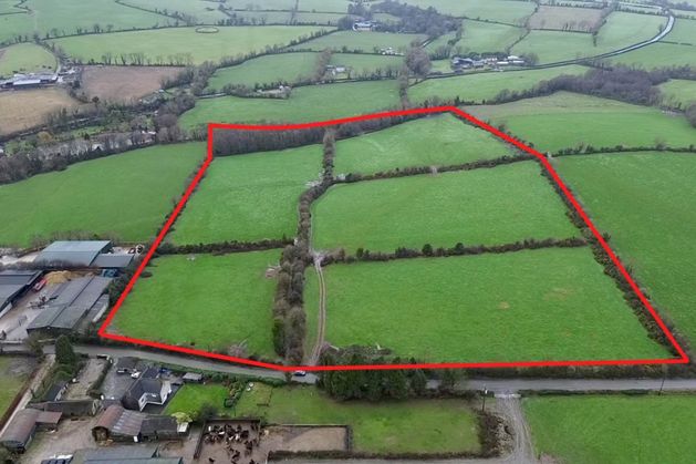 Wexford farmland sold privately for more than €500,000 at auction