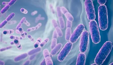 Nutrition Insight logo