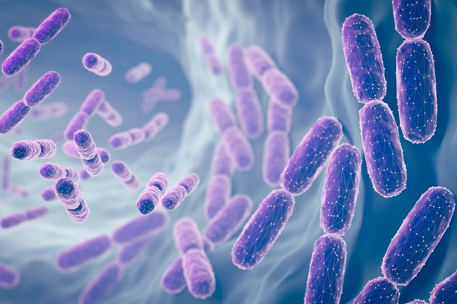 Nutrition Insight logo