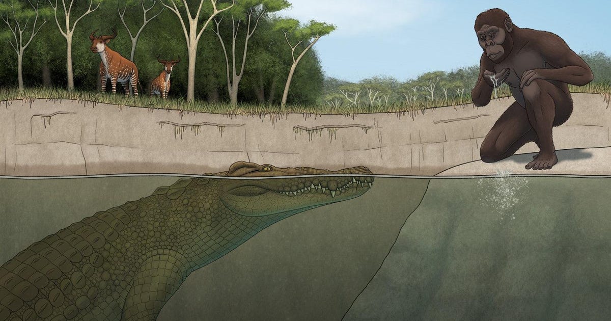 Lucy's Peril: Extinct Giant Crocodile That Lived With Hominins Identified in Ethiopia