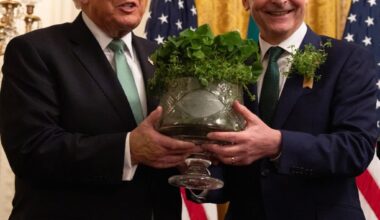 Irish Prime Minister Micheál Martin﻿ presenting a bowl of shamrocks to President Trump. (Photo: Micheál Martin﻿, Facebook)
