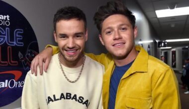 Niall Horan gives fans a glimpse into upcoming song about Liam Payne