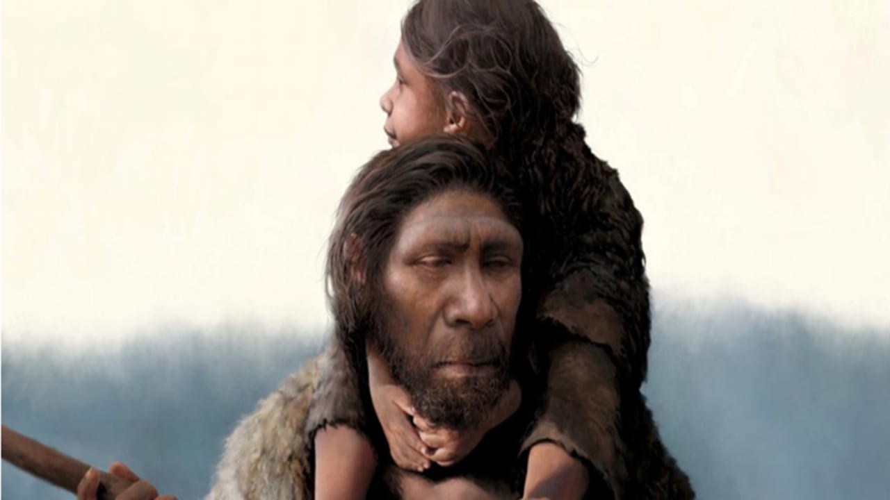 The Jerusalem Post - Israel News