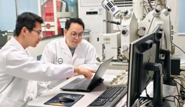 Study on rare earth formation sheds light on future discoveries