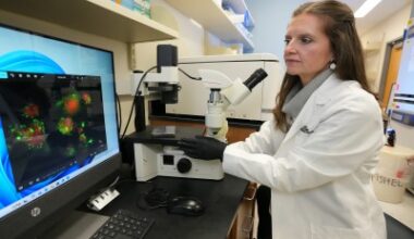 IU researchers identify clotting protein as potential target in pancreatic cancer