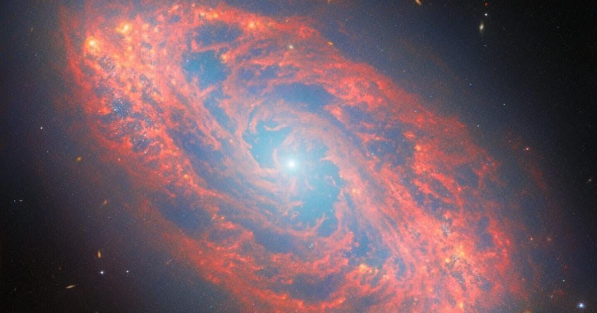 James Webb Space Telescope captures galaxy from T. rex era | National