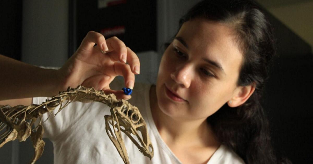 Brain of first flying reptile’s ancestor rebuilt to figure out how they took flight | National