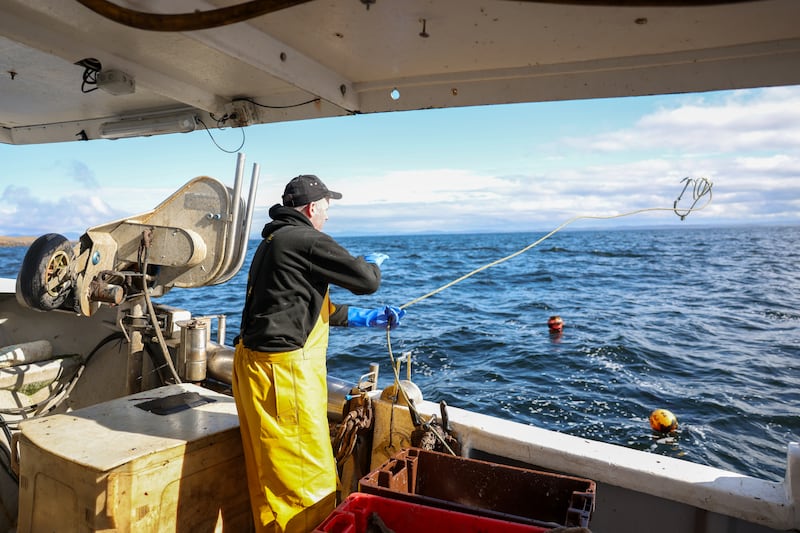 Menarry casts a line out to take lobster pots from his boat off the Donegal coast. Photograph: Enda O'Dowd