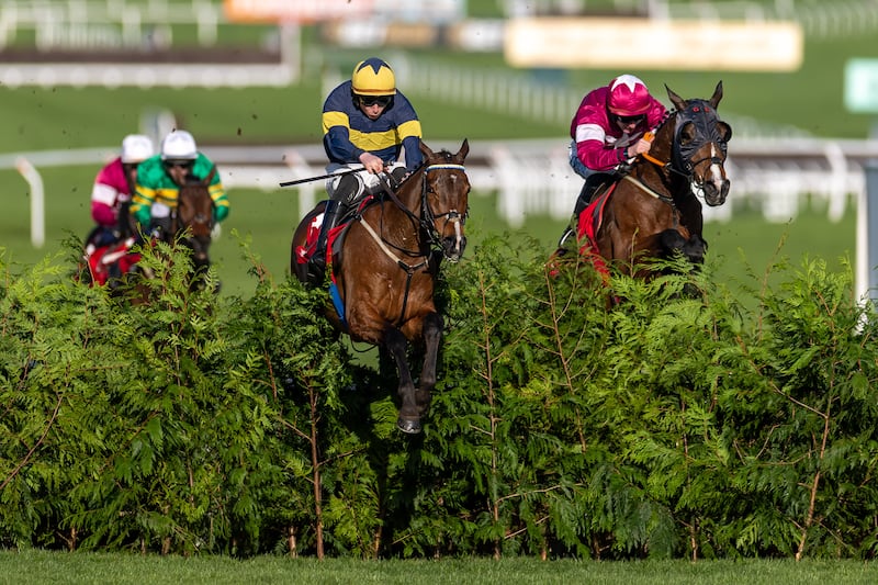 Conor Stone-Walsh on Final Orders on his way to winning the Glenfarclas Cross Country Chase. Photograph: Morgan Treacy/Inpho