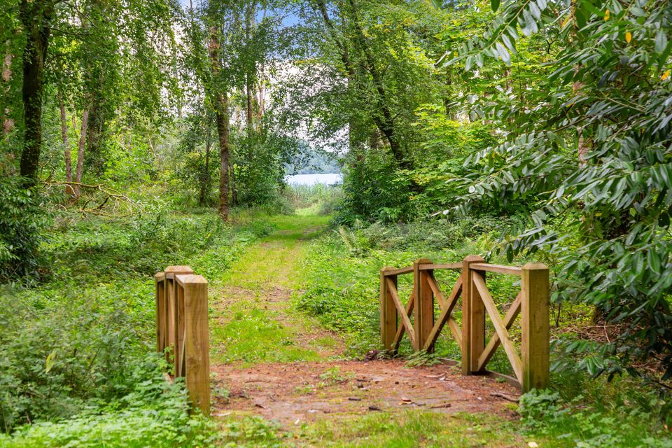 A small bridge on the grounds of Ely Lodge, Enniskillen, Co Fermanagh