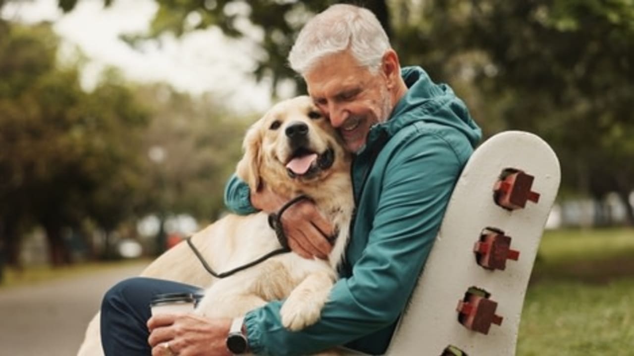 The Jerusalem Post - Israel News