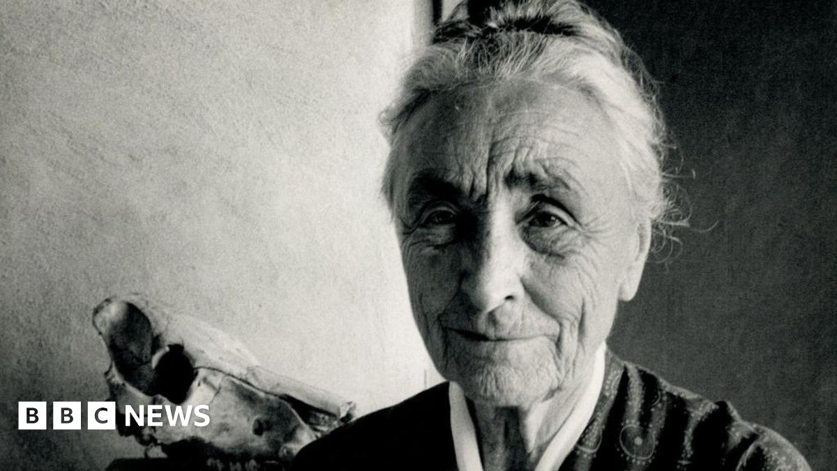 A photogravure print by O'Keeffe. It is made up of a flowing curved shape, with different shades of charcoal defining its form.