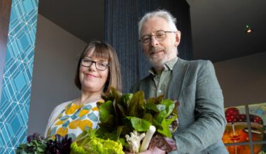 Top Irish food and drink products for 2026 recognised by Irish Food Writers’ Guild – The Irish Times