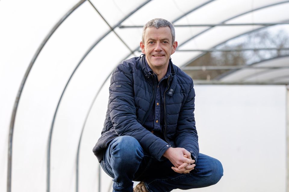 Mick Kelly. Photo: Dylan Vaughan  