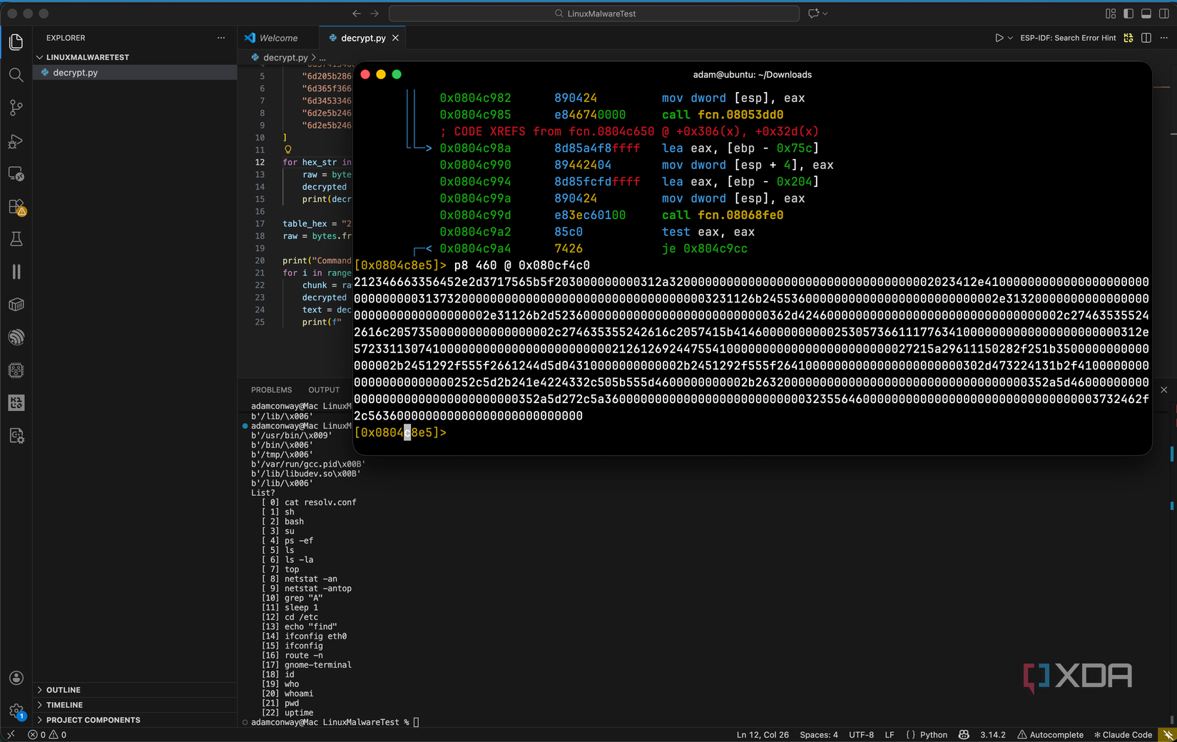 Decrypted process disguises for xorddos on Linux
