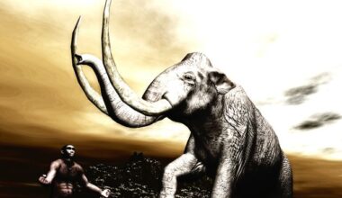 Fossils show giant elephants?lived all across Europem and were hunted by Neanderthals regularly