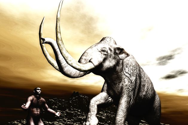 Fossils show giant elephants?lived all across Europem and were hunted by Neanderthals regularly