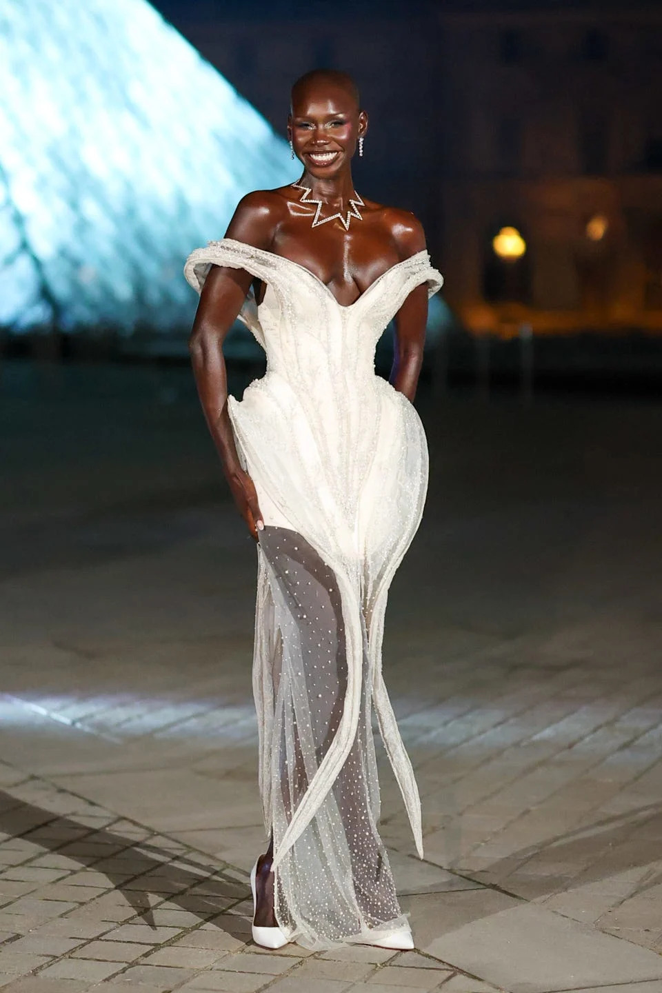 the grand dîner du louvre arrivals photocall