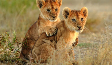 Yahoo lifestyle home