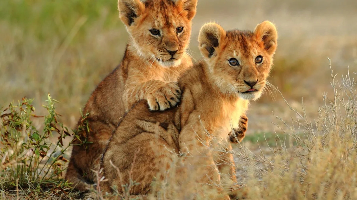 Yahoo lifestyle home