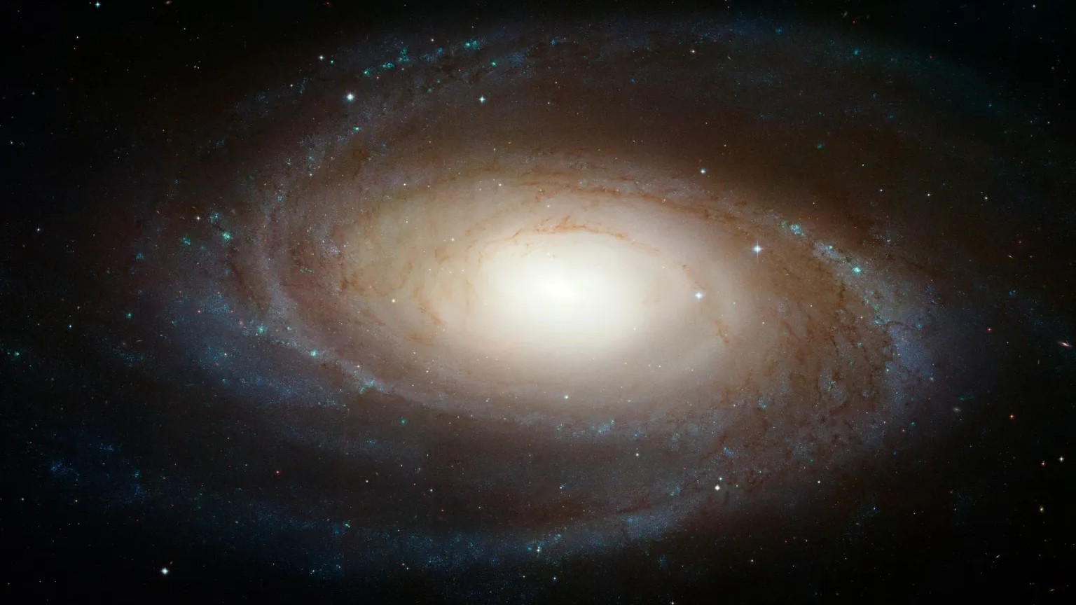 A Hubble Space Telescope image of Bode's Galaxy.