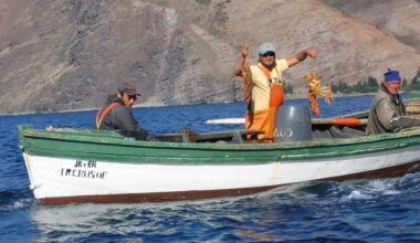 Marine National Park Bigger Than Texas Created by Departing Chilean President Around Pacific Islands