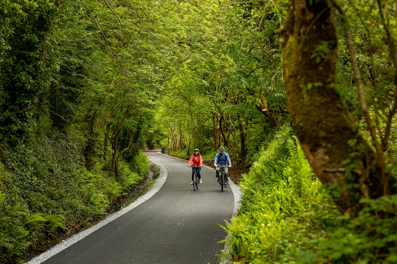 Tullig Wood on the Limerick greenway, the recently renovated 40km off-road walking and cycling route built along the former Limerick to Kerry railway line. Photograph: Seán Curtin/True Media