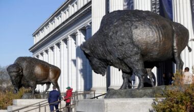Bison gets bronze tribute for USA’s 250th birthday – NBC4 Washington