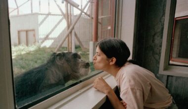 Will humans and animals ever be able to converse? Here’s what science says.