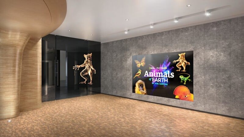 A modern lobby with wood and gray stone walls features a large digital display showing colorful images of animals and the text “Animals of Earth” near reflective glass doors.