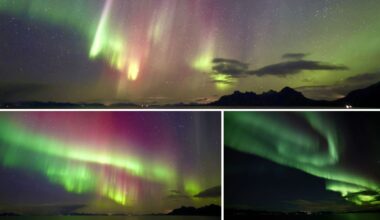 3 panel image showing colorful auroras sweeping across the sky.